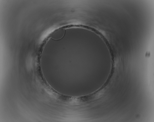 X0000111371263200907171149