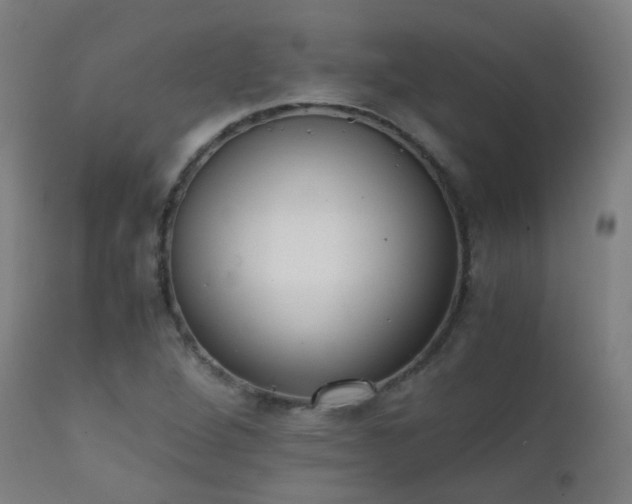 X0000111371264200907171149