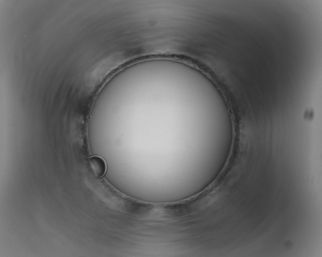 X0000111371265200907171149