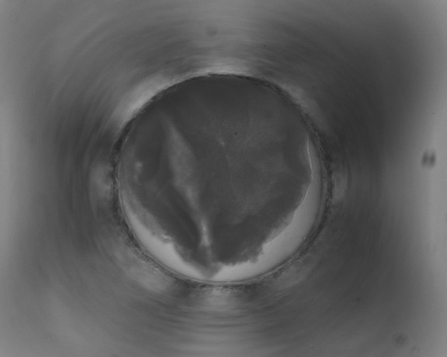 X0000111371266200907171149