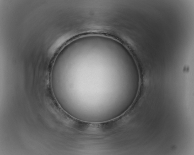 X0000111371267200907171149