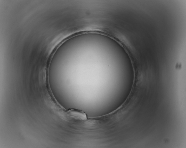 X0000111371268200907171149