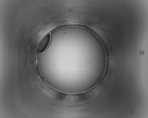 X0000111371269200907171149