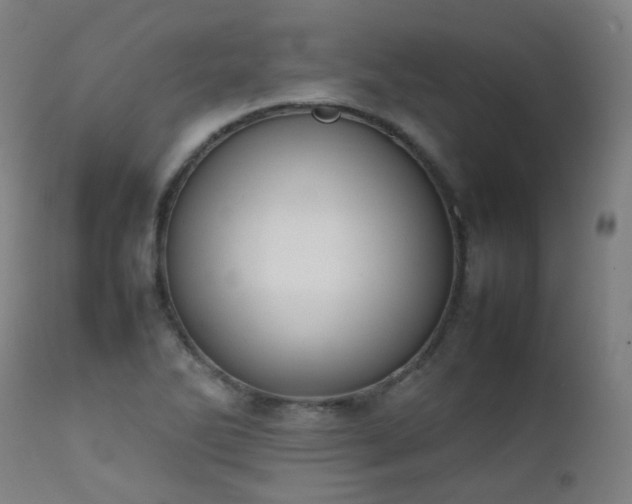 X0000111371270200907171149