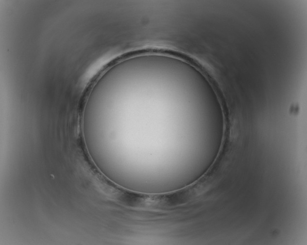 X0000111371271200907171149