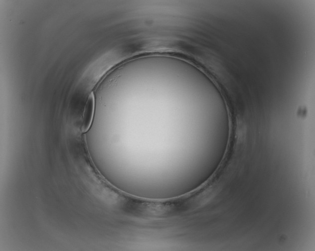 X0000111371273200907171149