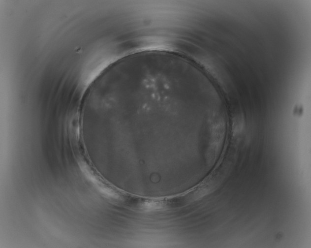 X0000111371274200907171149