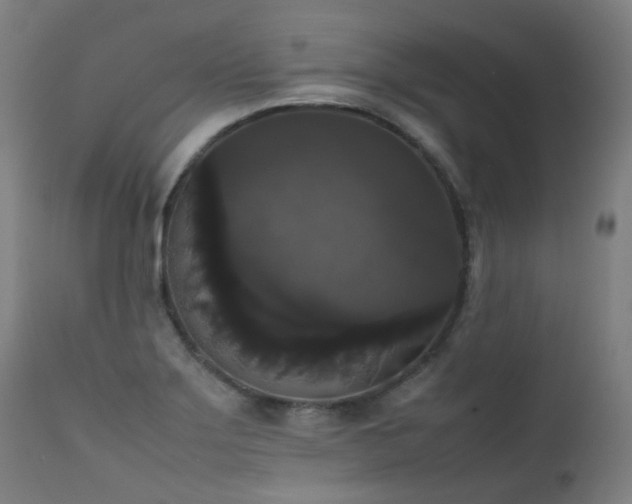 X0000111371275200907171149