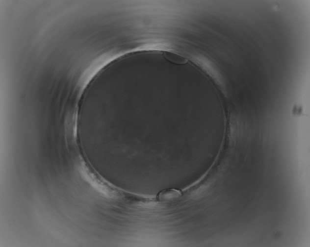 X0000111371276200907171149