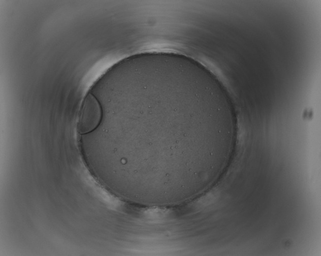 X0000111371277200907171149