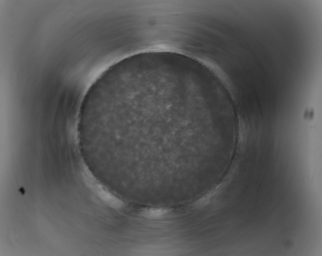 X0000111371278200907171149