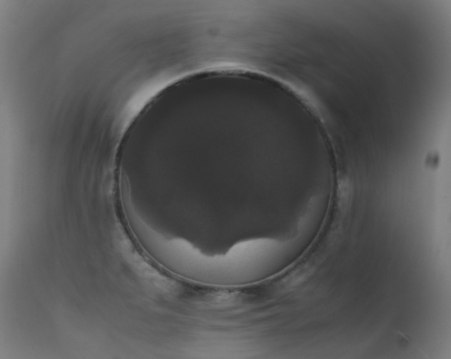 X0000111371279200907171149