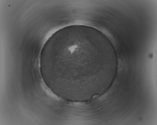 X0000111371280200907171149