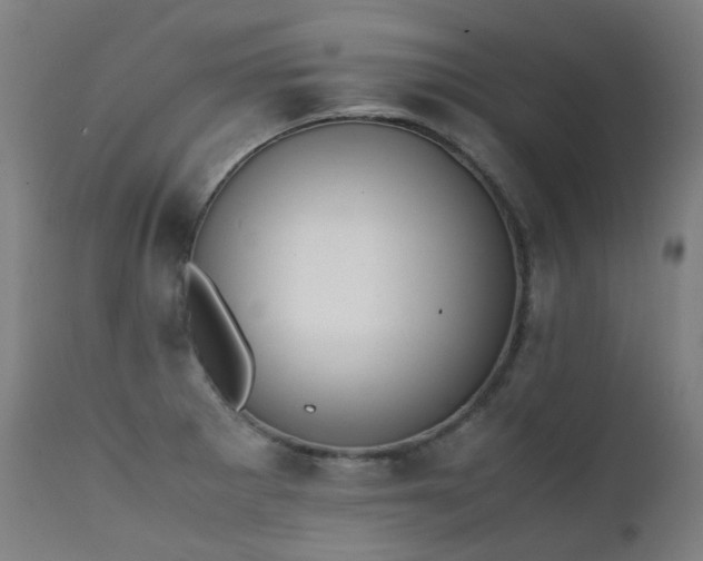 X0000111371281200907171149