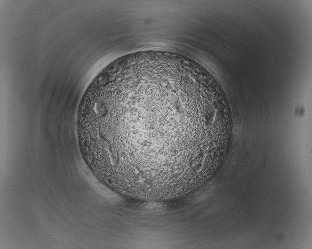 X0000111371283200907171149