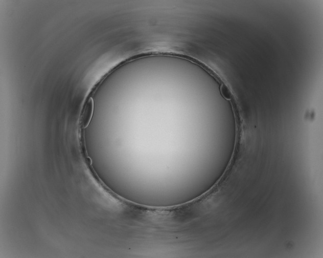 X0000111371285200907171149