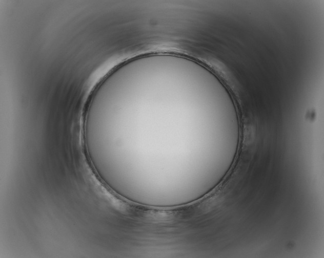 X0000111371286200907171149