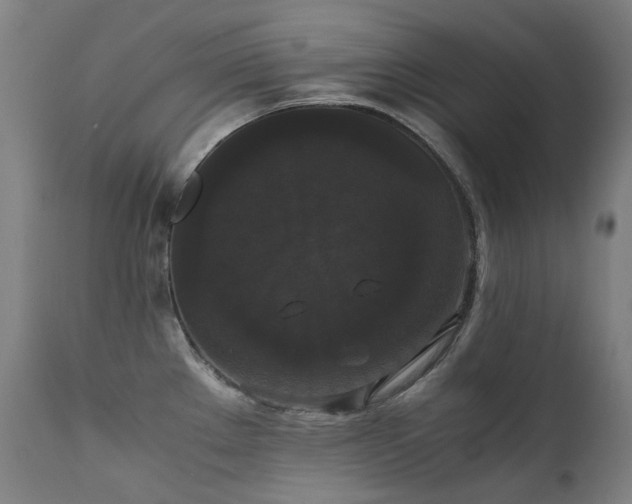 X0000111371289200907171149