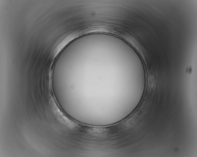 X0000111371290200907171149