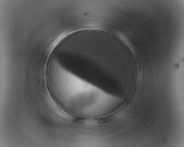 X0000111371291200907171149