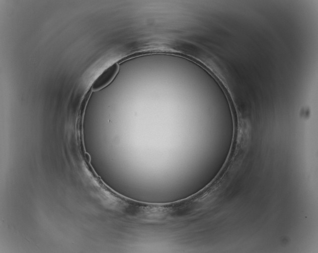 X0000111371293200907171149