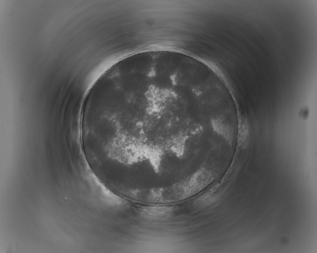 X0000111371294200907171149