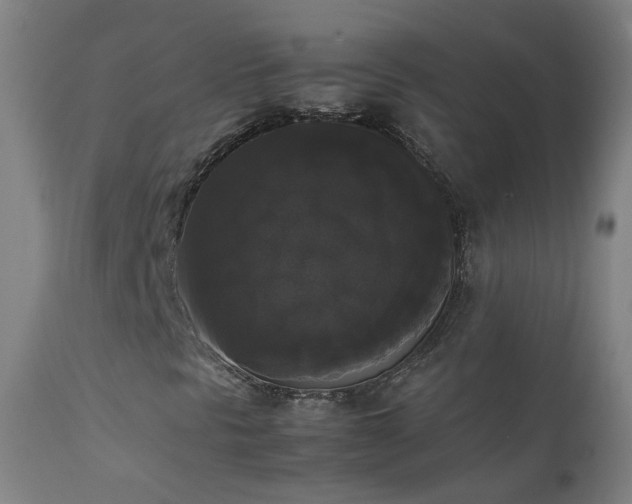 X0000111371297200907171148