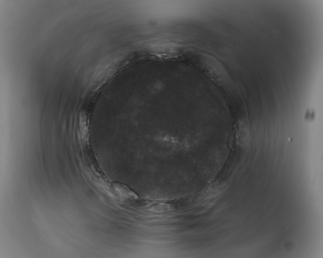 X0000111371298200907171148