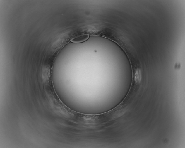 X0000111371299200907171148