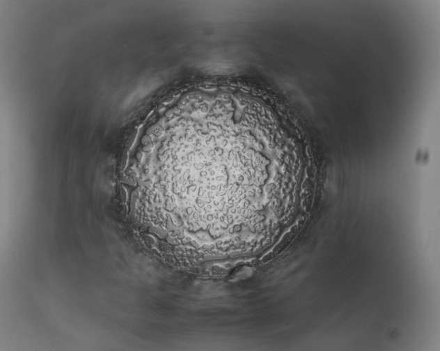 X0000111371301200907171148