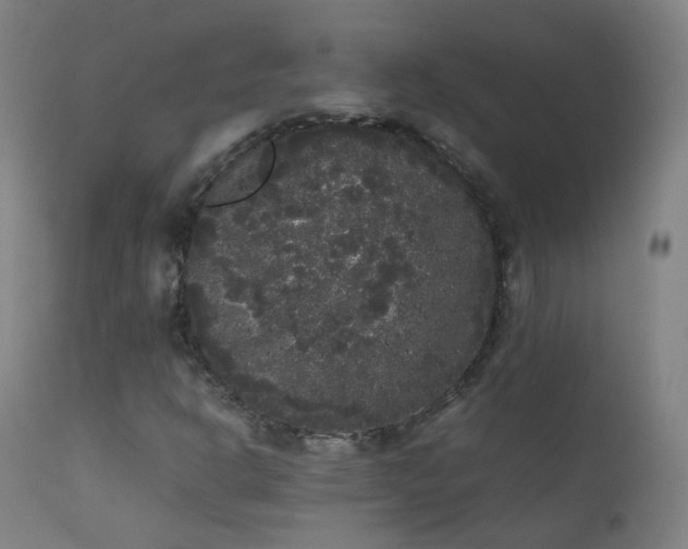 X0000111371302200907171148