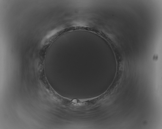 X0000111371303200907171148