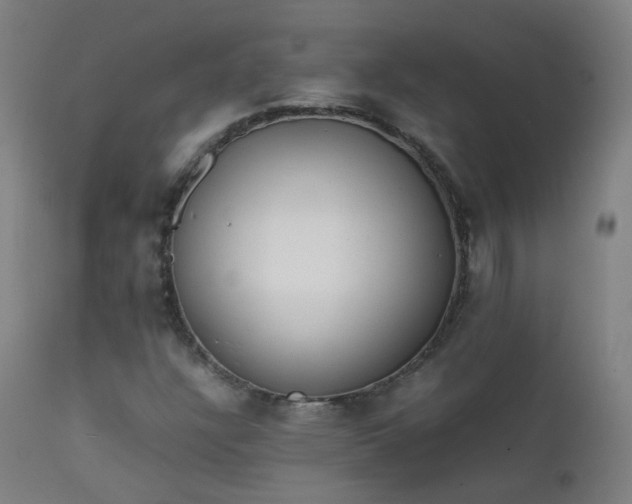 X0000111371304200907171148