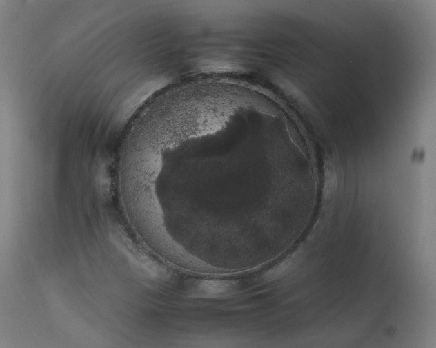 X0000111371305200907171148