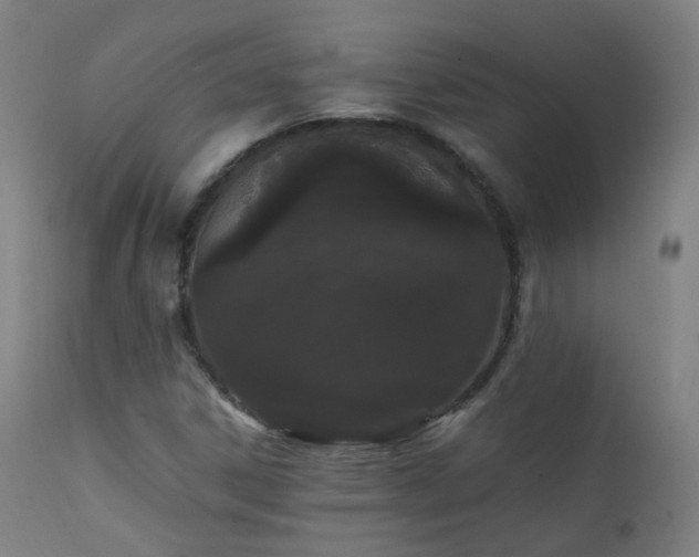 X0000111371306200907171148