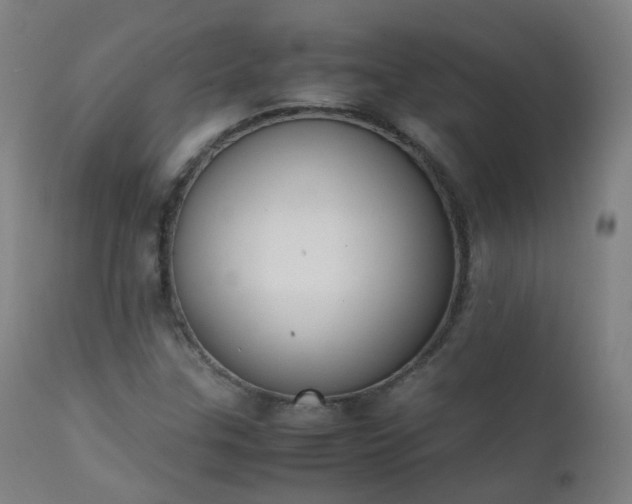 X0000111371307200907171148