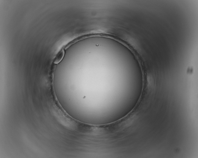 X0000111371308200907171148