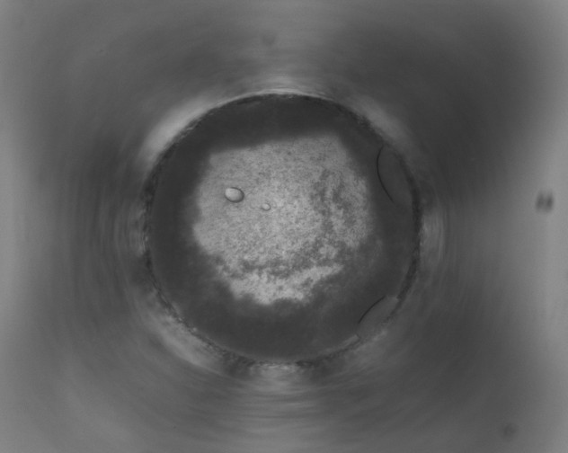 X0000111371310200907171148