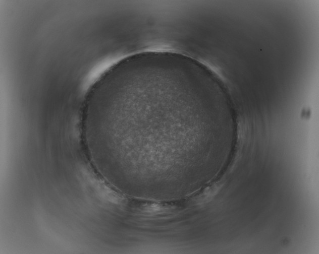 X0000111371311200907171148