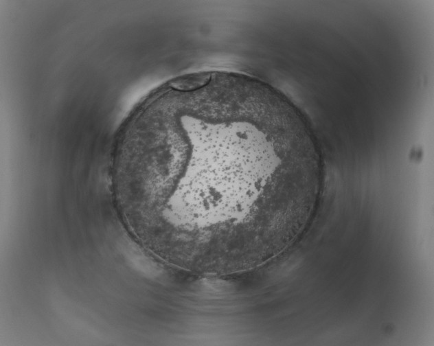 X0000111371312200907171148