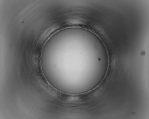 X0000111371313200907171148