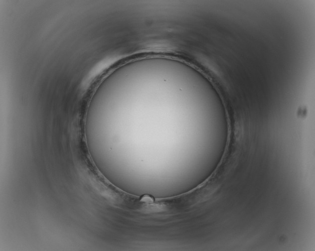 X0000111371315200907171148