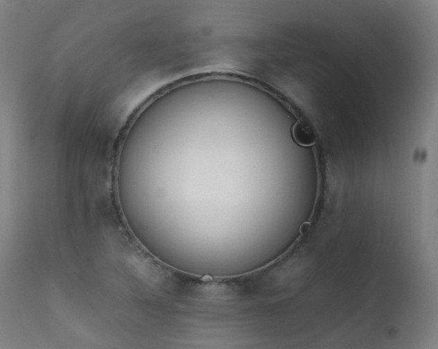 X0000111371316200907171148