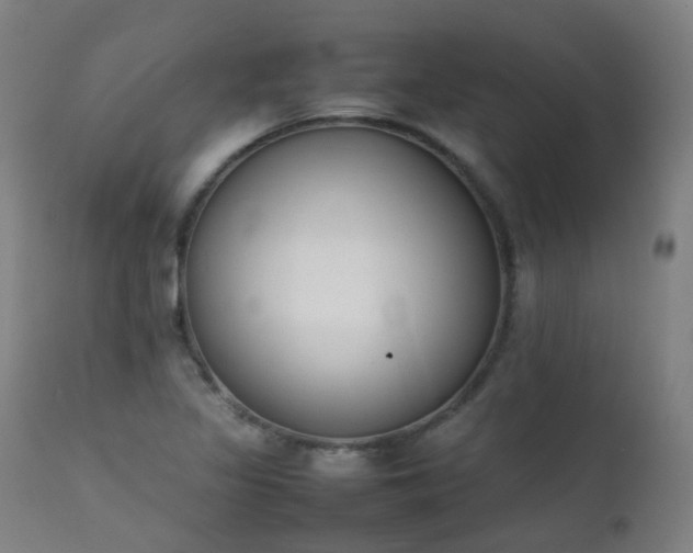 X0000111371317200907171148