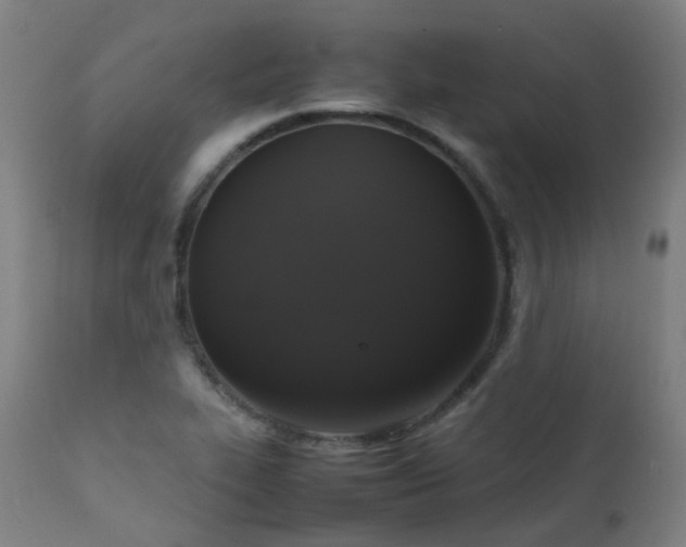 X0000111371319200907171148