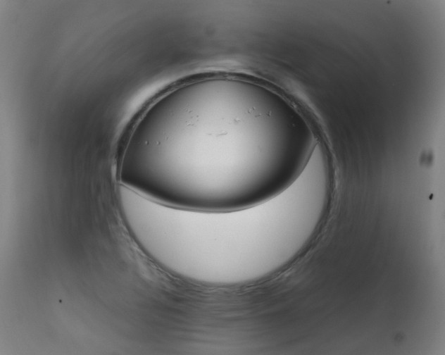 X0000111371320200907171148