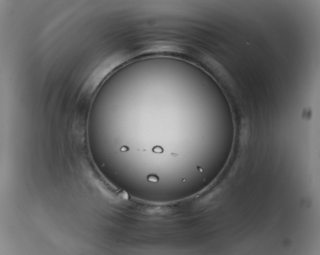 X0000111371321200907171148