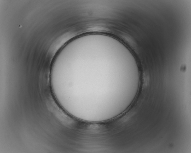 X0000111371322200907171148