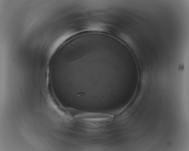 X0000111371323200907171148