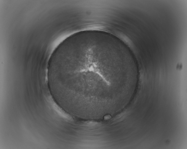 X0000111371324200907171148